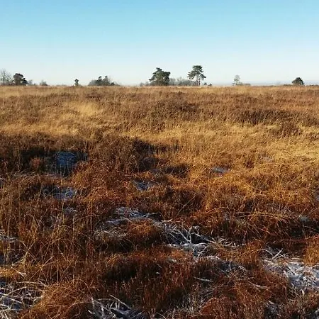 Maisontotem Jalhay